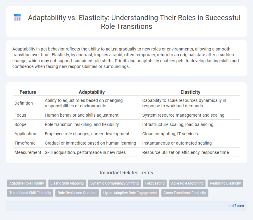 Adaptability vs. Elasticity: Understanding Their Roles in Successful Role Transitions