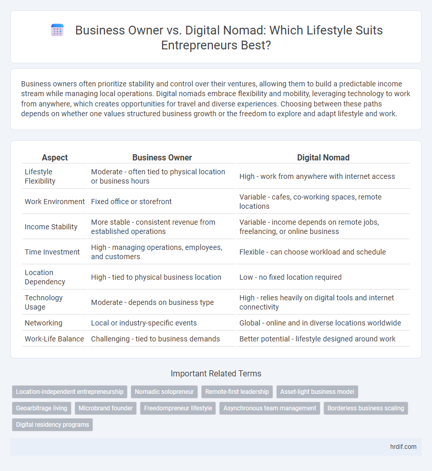 Business Owner vs. Digital Nomad: Which Lifestyle Suits Entrepreneurs Best?