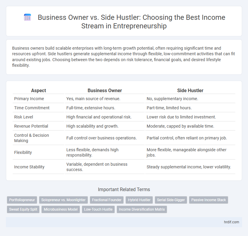 Business Owner vs. Side Hustler: Choosing the Best Income Stream in Entrepreneurship