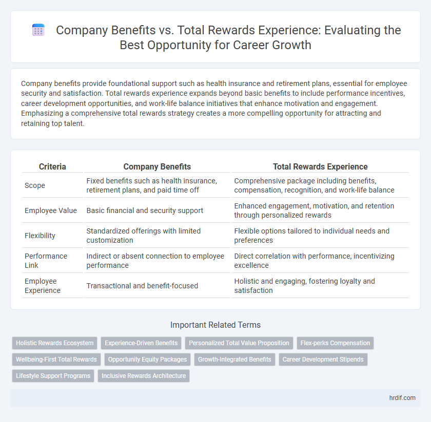 Company Benefits vs. Total Rewards Experience: Evaluating the Best Opportunity for Career Growth
