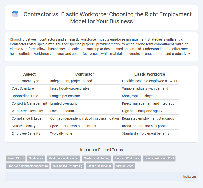 Contractor vs. Elastic Workforce: Choosing the Right Employment Model for Your Business