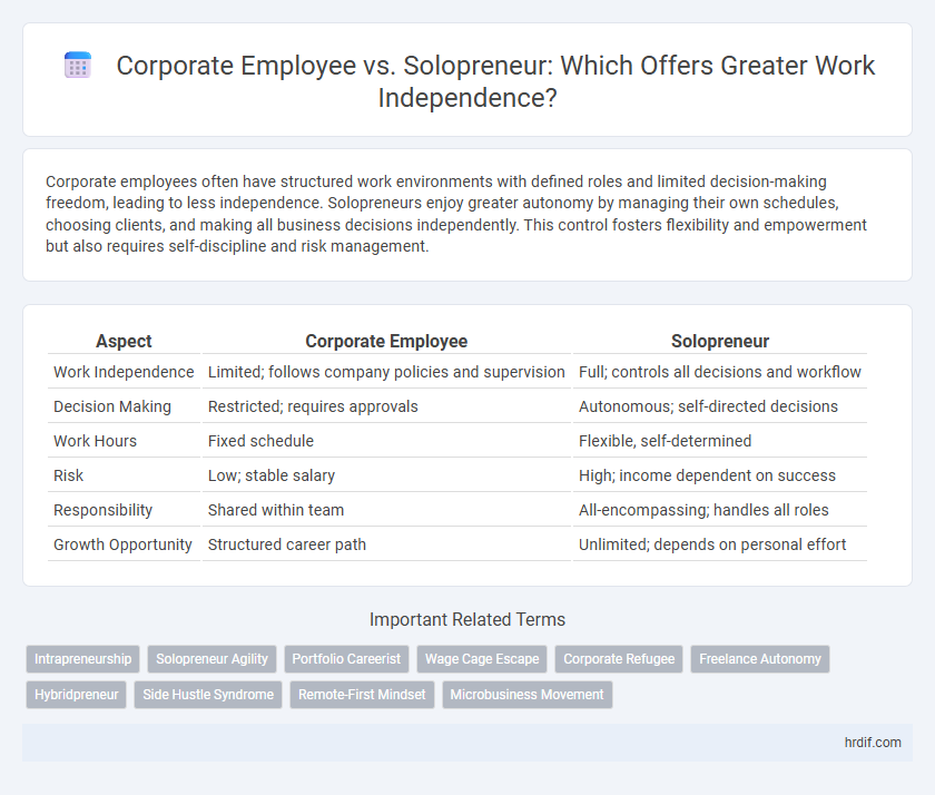 Corporate Employee vs. Solopreneur: Which Offers Greater Work Independence?