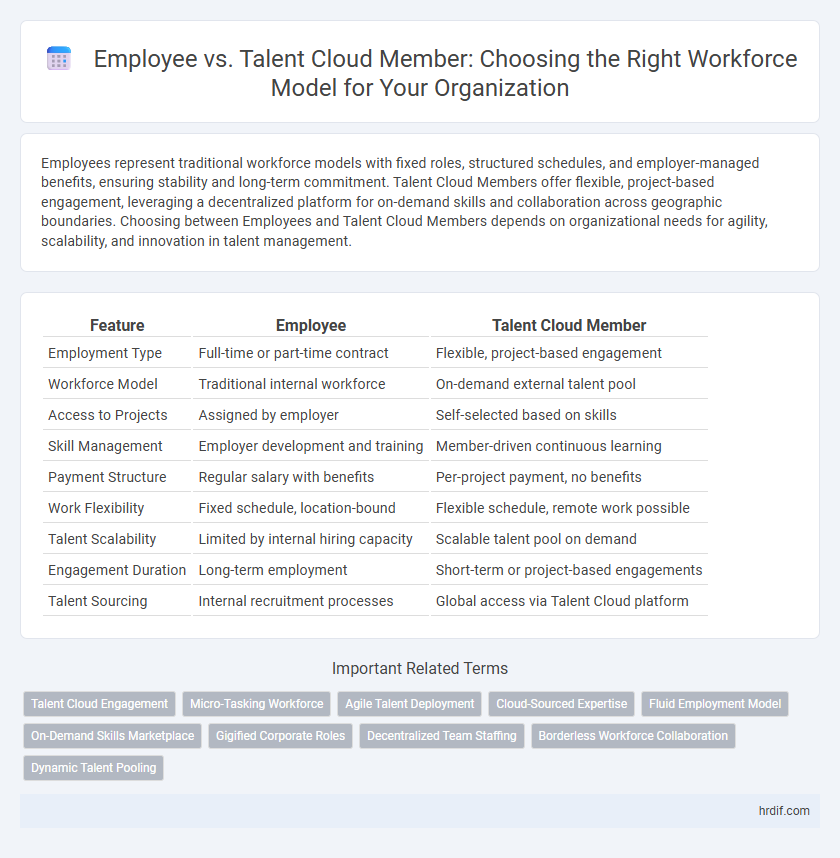 Employee vs. Talent Cloud Member: Choosing the Right Workforce Model for Your Organization