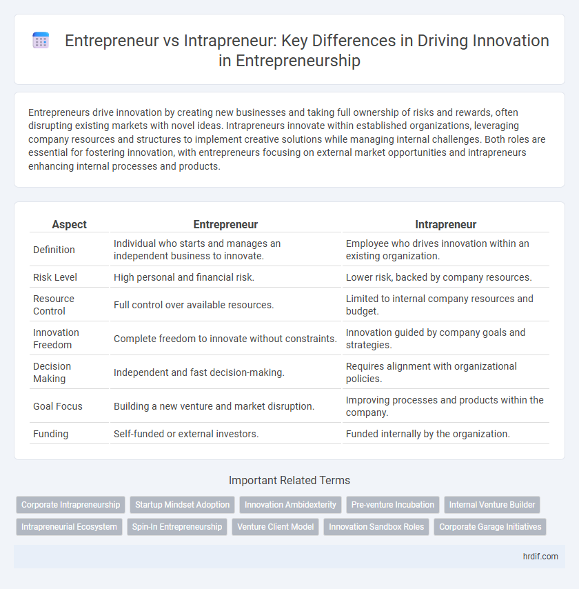 Entrepreneur vs Intrapreneur: Key Differences in Driving Innovation in Entrepreneurship