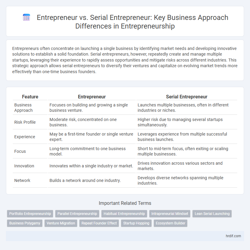 Entrepreneur vs. Serial Entrepreneur: Key Business Approach Differences in Entrepreneurship