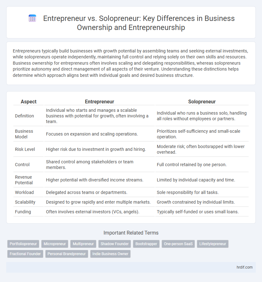 Entrepreneur vs. Solopreneur: Key Differences in Business Ownership and Entrepreneurship
