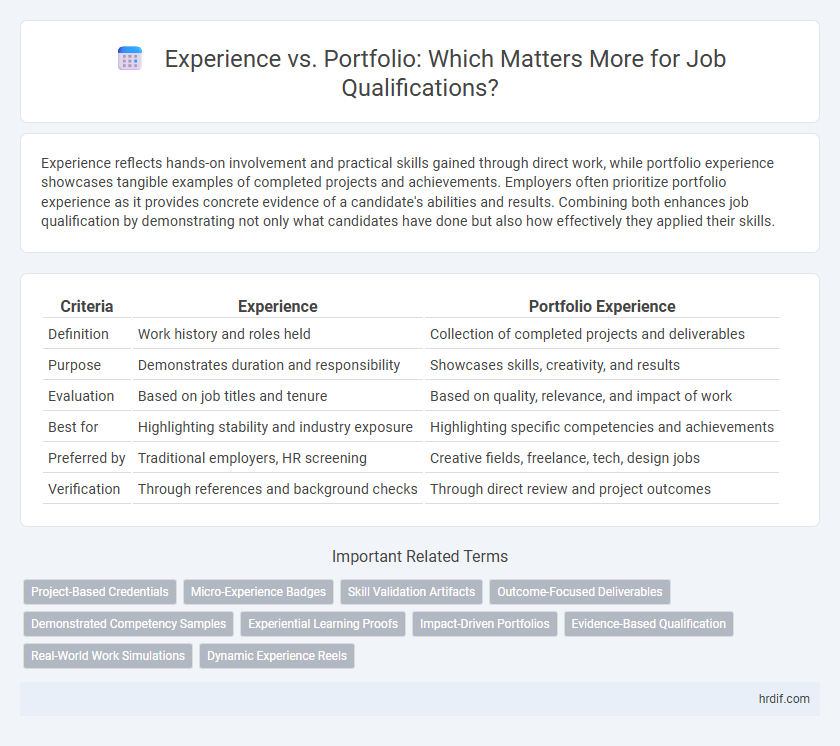 Experience vs. Portfolio: Which Matters More for Job Qualifications?