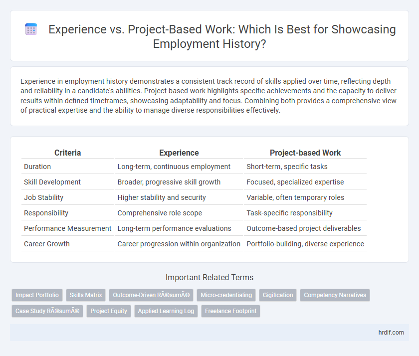 Experience vs. Project-Based Work: Which Is Best for Showcasing Employment History?
