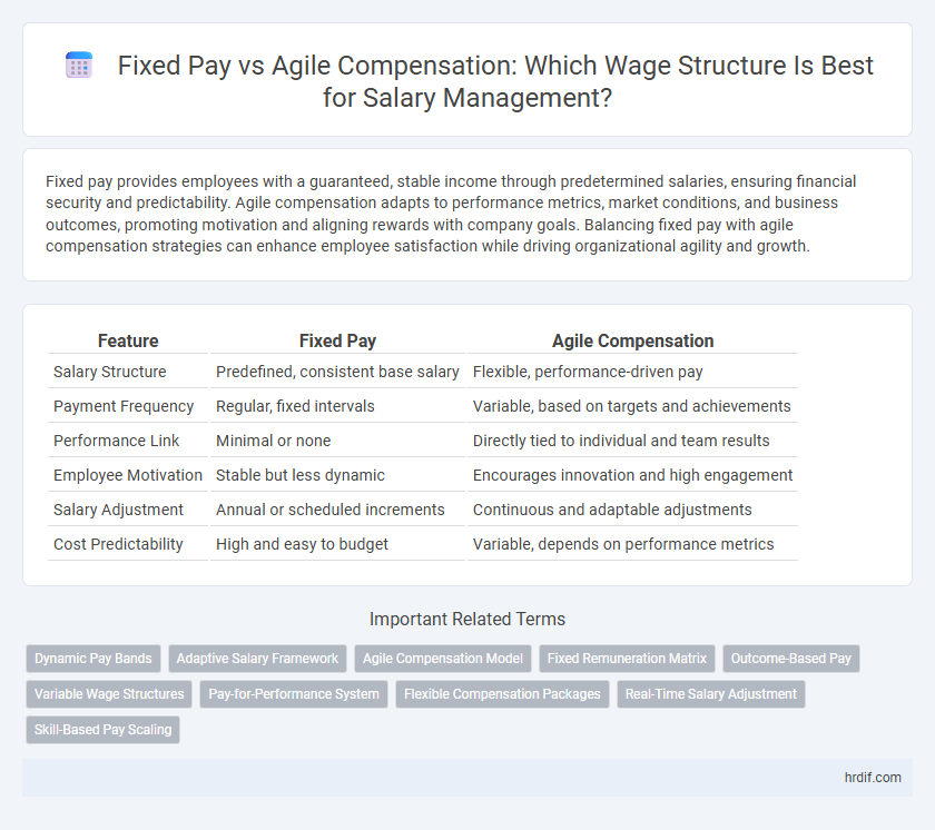 Fixed Pay vs Agile Compensation: Which Wage Structure Is Best for Salary Management?