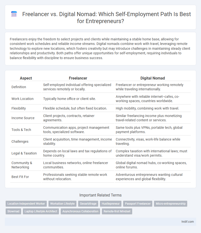 Freelancer vs. Digital Nomad: Which Self-Employment Path Is Best for Entrepreneurs?