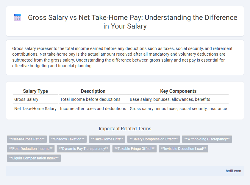 Gross Salary vs Net Take-Home Pay: Understanding the Difference in Your Salary