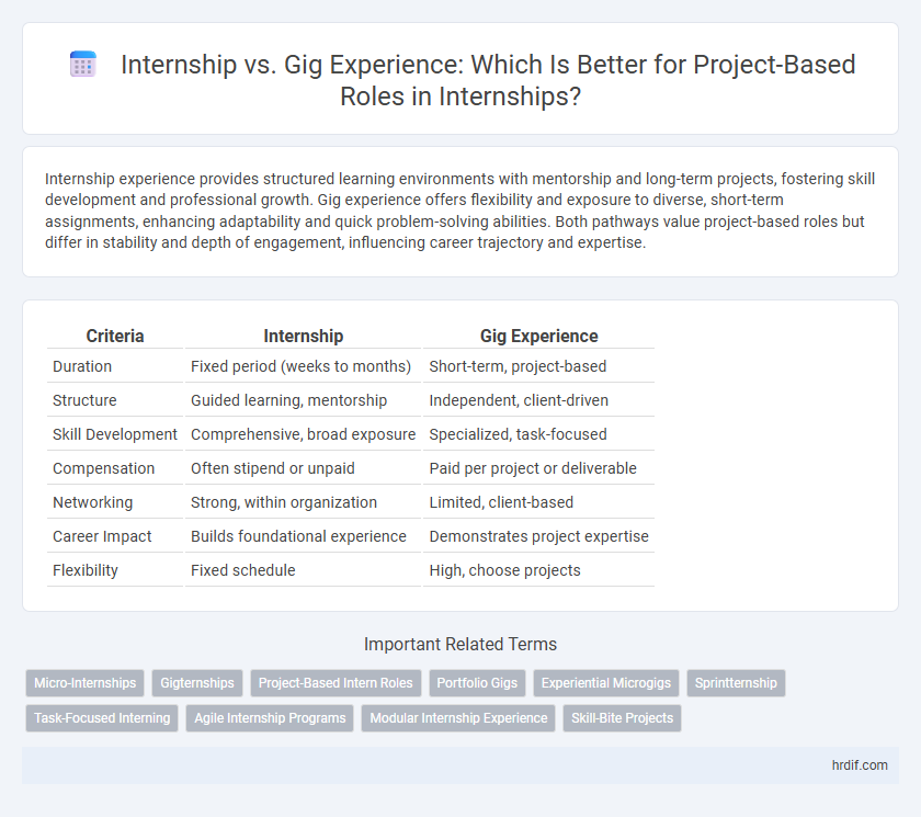 Internship vs. Gig Experience: Which Is Better for Project-Based Roles in Internships?
