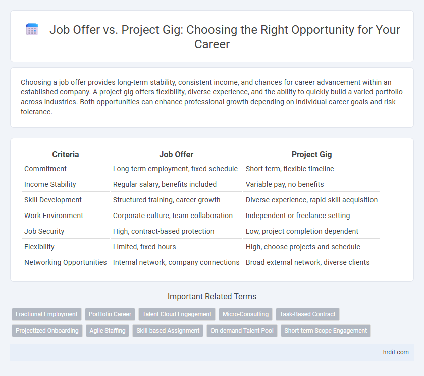 Job Offer vs. Project Gig: Choosing the Right Opportunity for Your Career