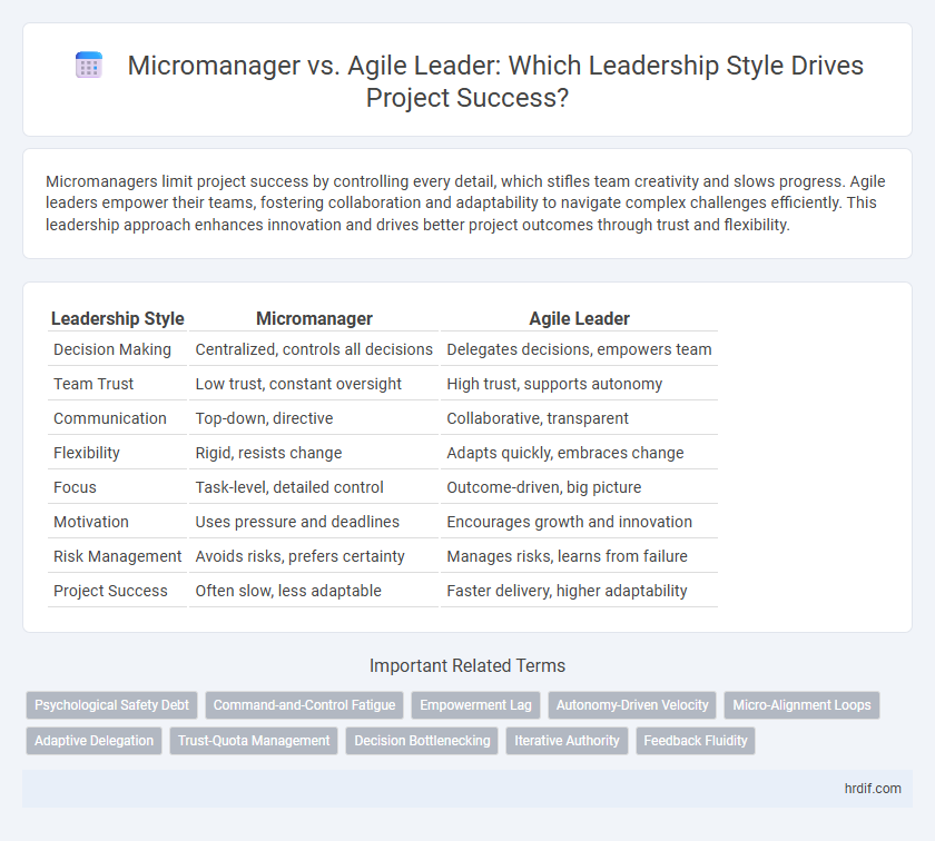 Micromanager vs. Agile Leader: Which Leadership Style Drives Project Success?