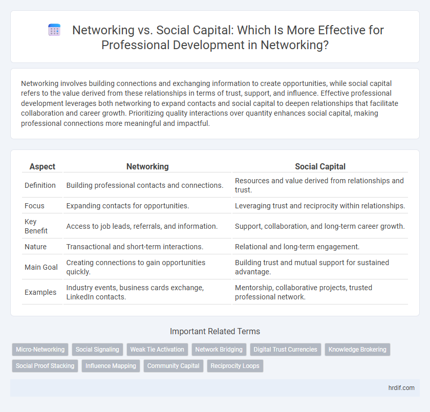 Networking vs. Social Capital: Which Is More Effective for Professional Development in Networking?