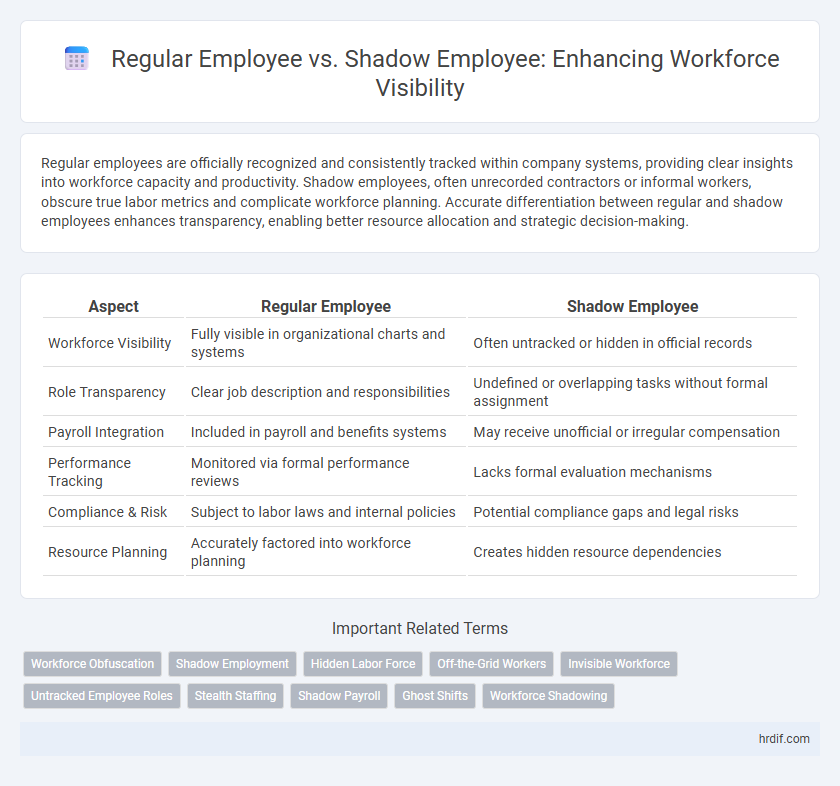 Regular Employee vs. Shadow Employee: Enhancing Workforce Visibility