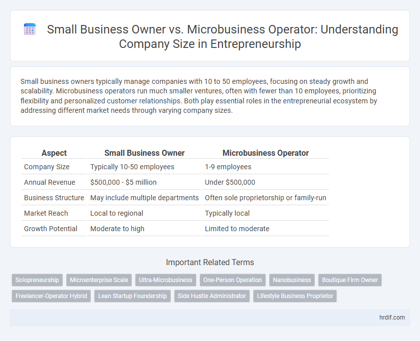 Small Business Owner vs. Microbusiness Operator: Understanding Company Size in Entrepreneurship