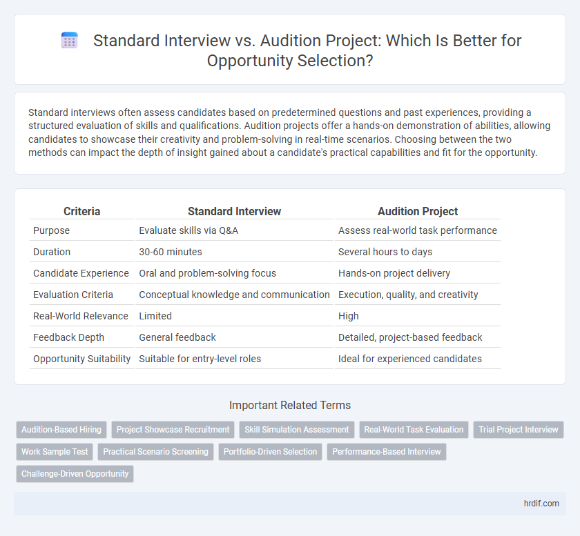 Standard Interview vs. Audition Project: Which Is Better for Opportunity Selection?