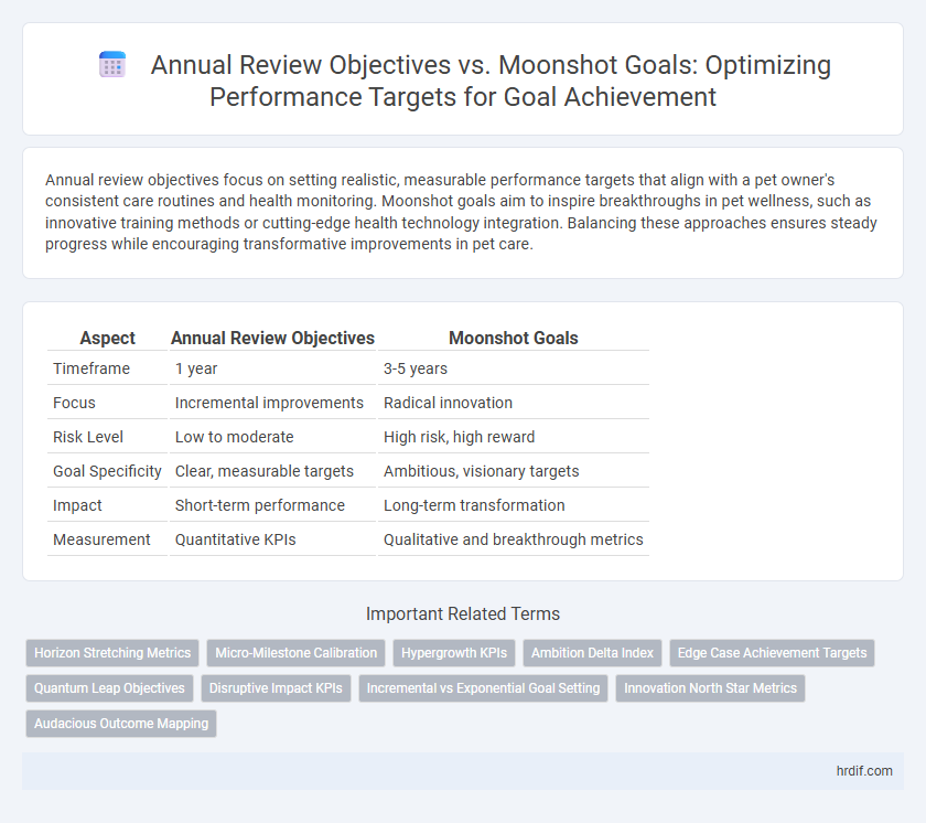 Annual Review Objectives vs. Moonshot Goals: Optimizing Performance Targets for Goal Achievement