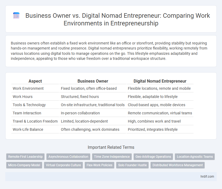 Business Owner vs. Digital Nomad Entrepreneur: Comparing Work Environments in Entrepreneurship