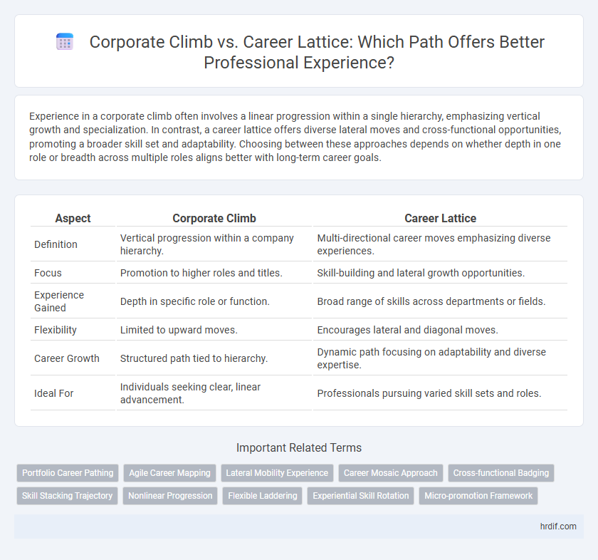 Corporate Climb vs. Career Lattice: Which Path Offers Better Professional Experience?