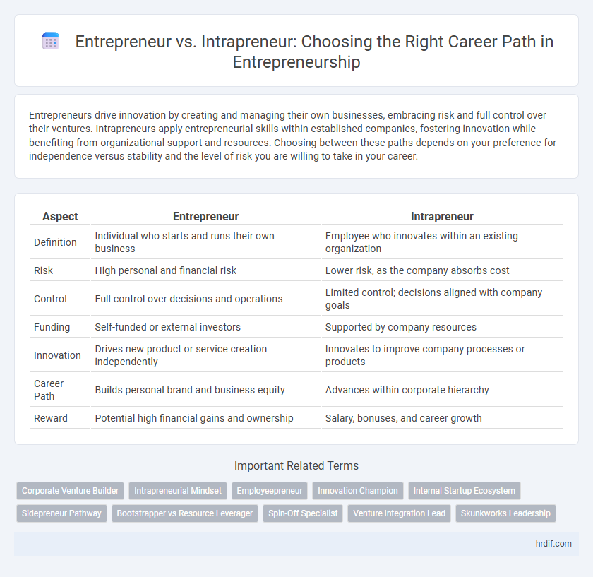 Entrepreneur vs. Intrapreneur: Choosing the Right Career Path in Entrepreneurship