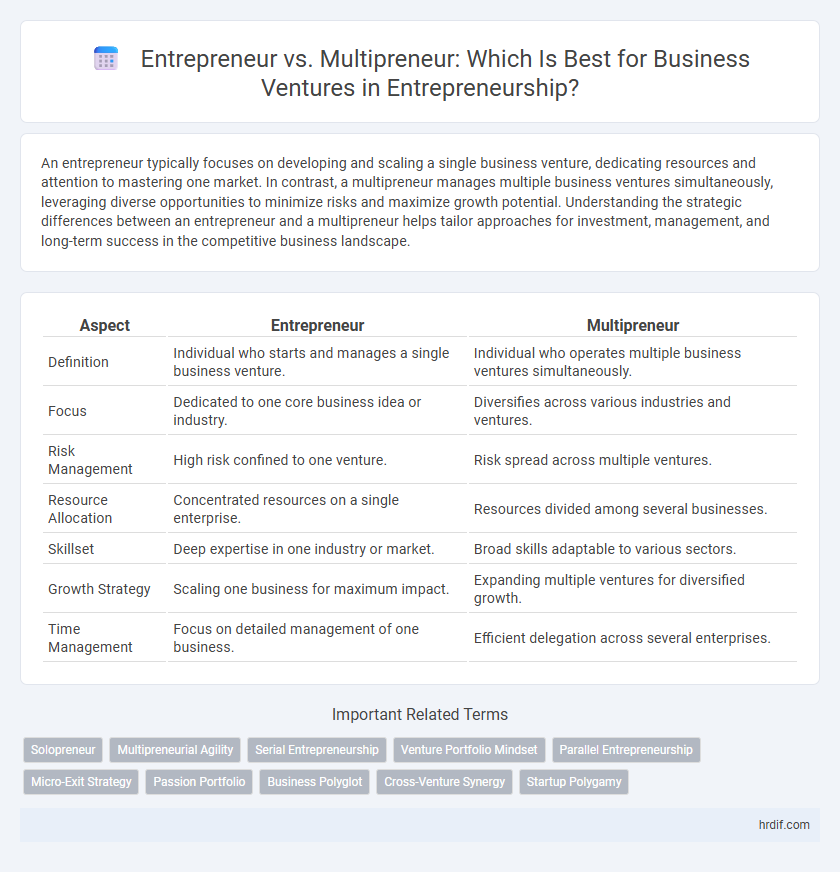 Entrepreneur vs. Multipreneur: Which Is Best for Business Ventures in Entrepreneurship?