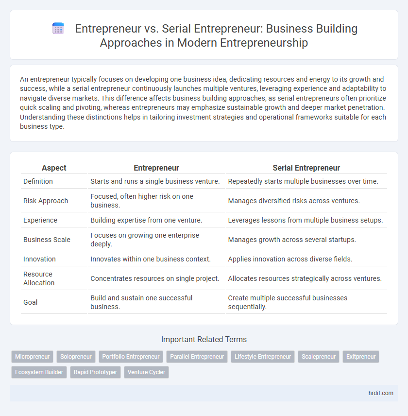 Entrepreneur vs. Serial Entrepreneur: Business Building Approaches in Modern Entrepreneurship