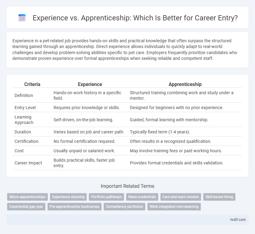 Experience vs. Apprenticeship: Which Is Better for Career Entry?