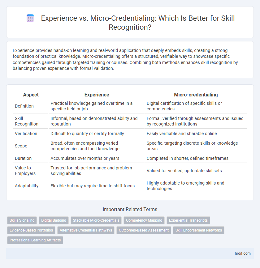 Experience vs. Micro-Credentialing: Which Is Better for Skill Recognition?
