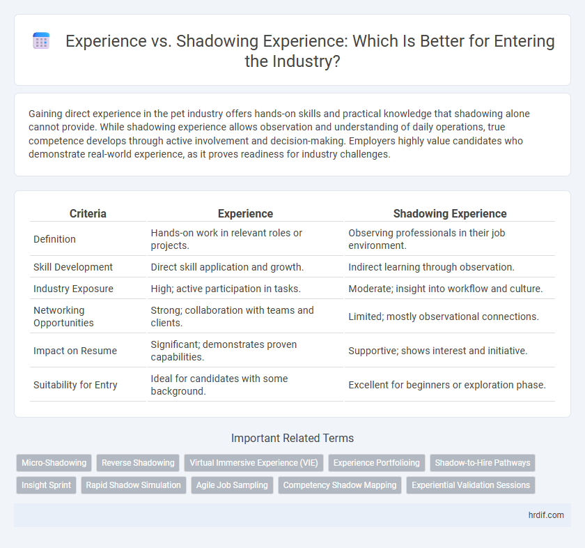 Experience vs. Shadowing Experience: Which Is Better for Entering the Industry?