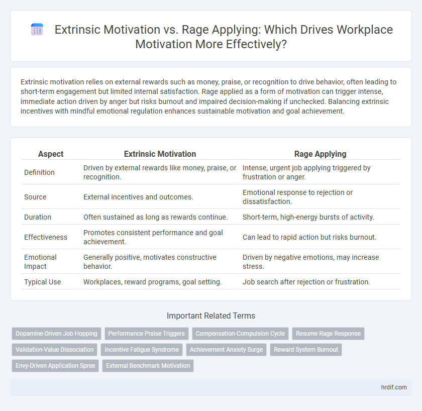 Extrinsic Motivation vs. Rage Applying: Which Drives Workplace Motivation More Effectively?