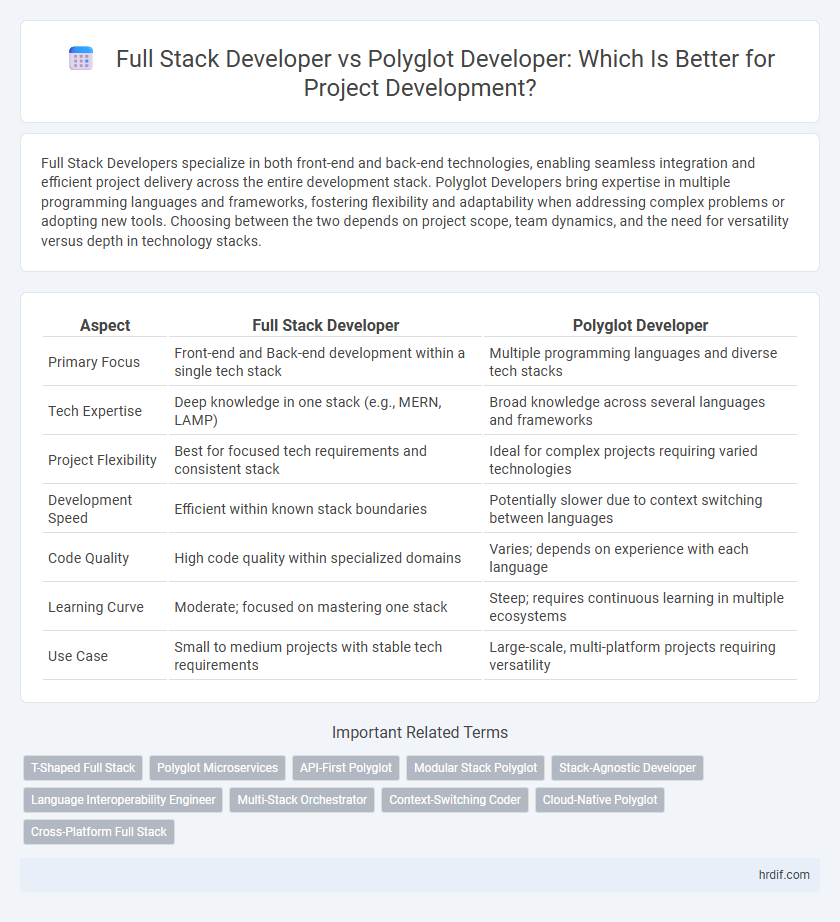 Full Stack Developer vs Polyglot Developer: Which Is Better for Project Development?
