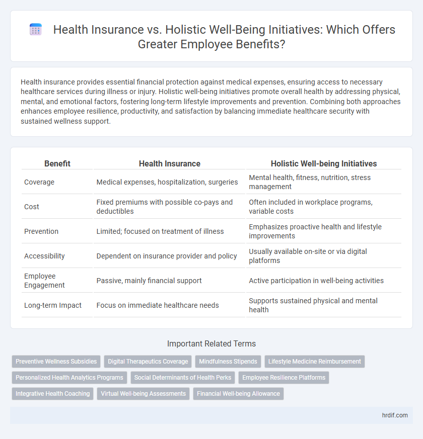 Health Insurance vs. Holistic Well-Being Initiatives: Which Offers Greater Employee Benefits?