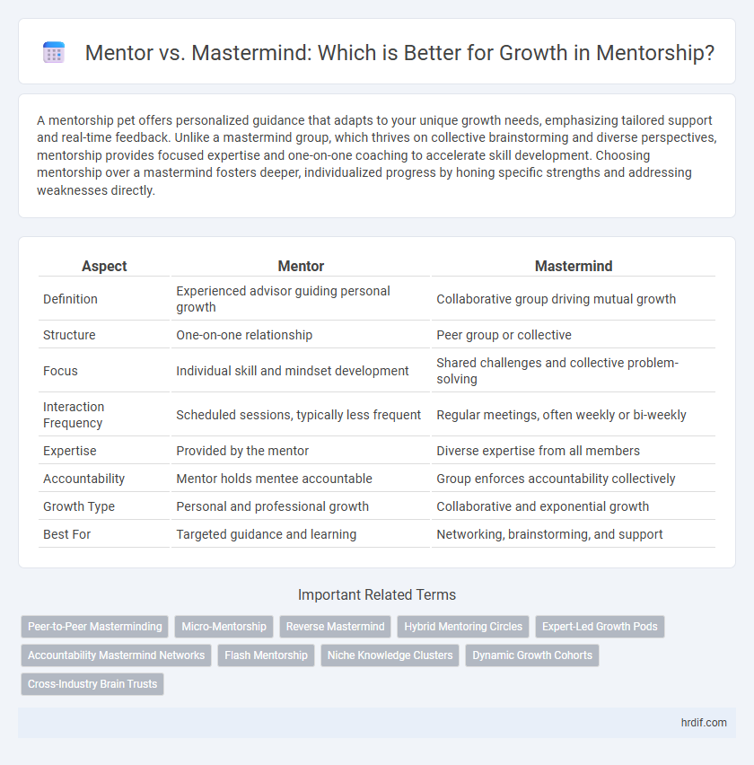 Mentor vs. Mastermind: Which is Better for Growth in Mentorship?
