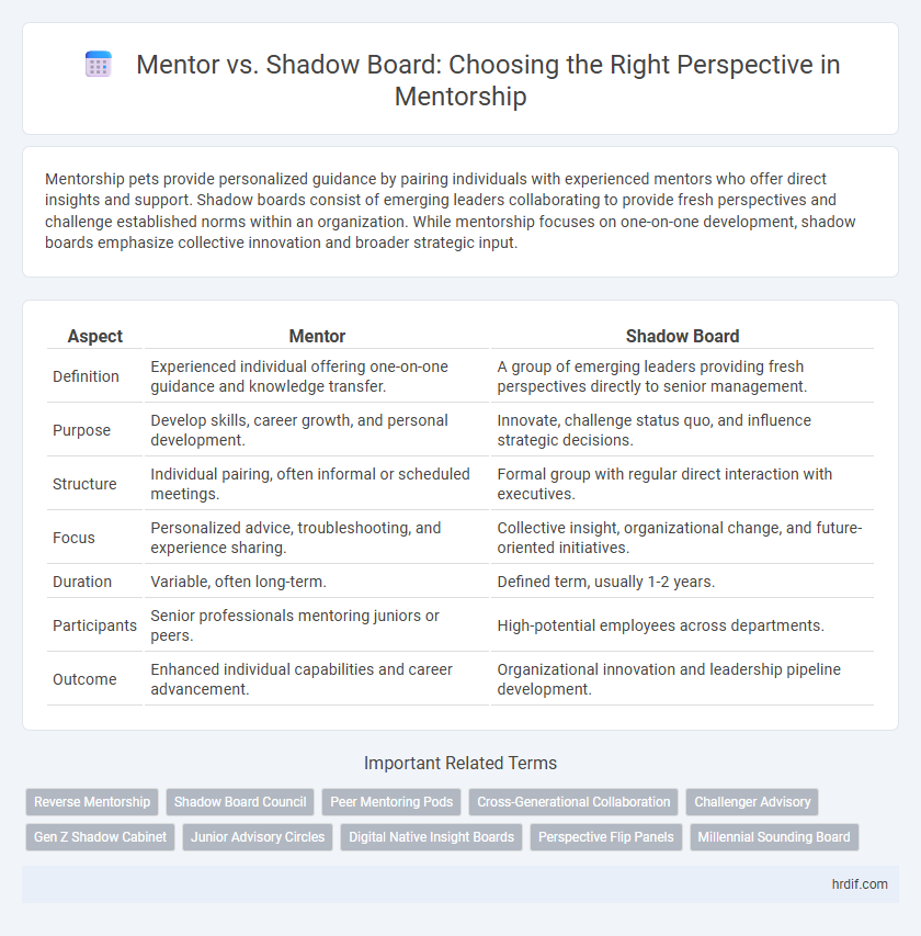 Mentor vs. Shadow Board: Choosing the Right Perspective in Mentorship