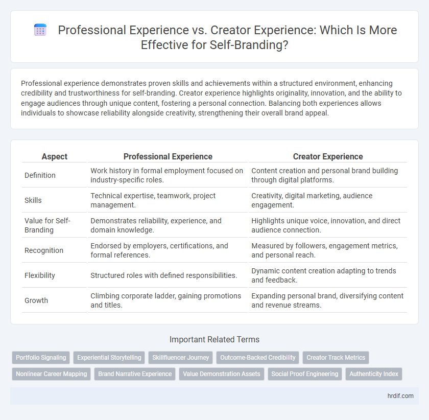 Professional Experience vs. Creator Experience: Which Is More Effective for Self-Branding?