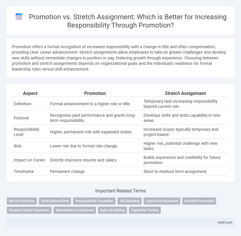 Promotion vs. Stretch Assignment: Which is Better for Increasing Responsibility Through Promotion?