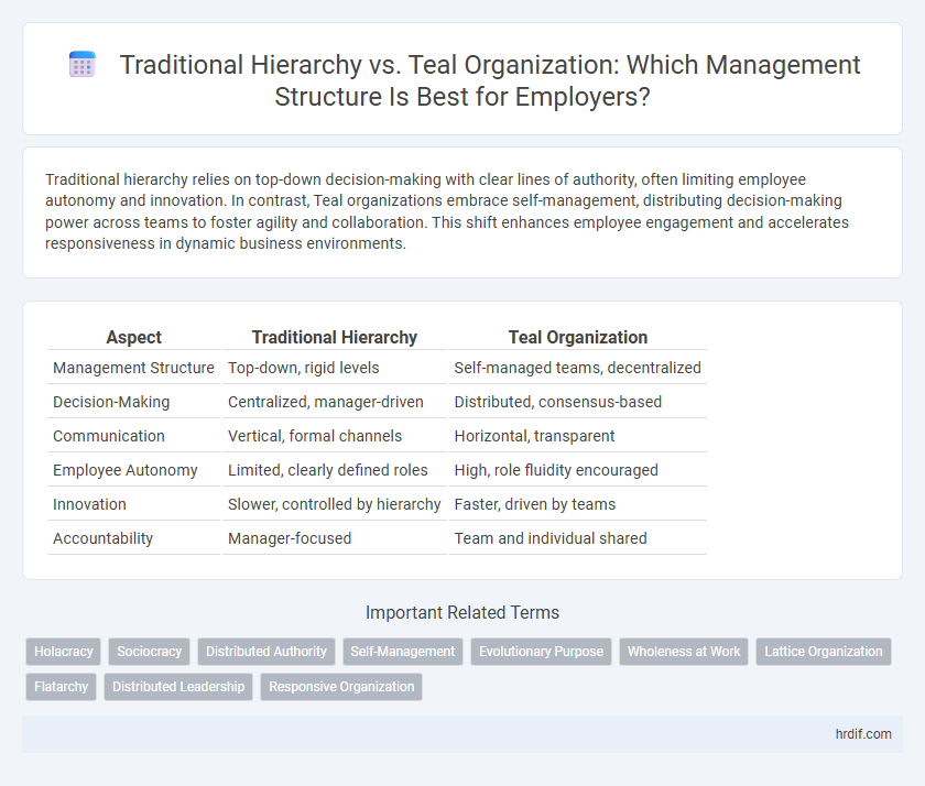 Traditional Hierarchy vs. Teal Organization: Which Management Structure Is Best for Employers?