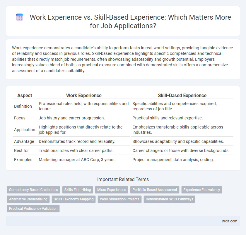 Work Experience vs. Skill-Based Experience: Which Matters More for Job Applications?