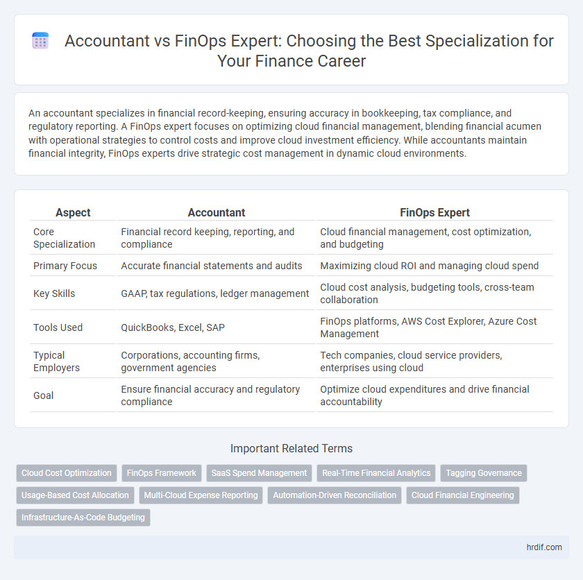 Accountant vs FinOps Expert: Choosing the Best Specialization for Your Finance Career