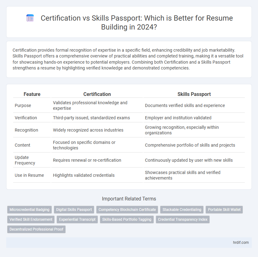 Certification vs Skills Passport: Which is Better for Resume Building in 2024?