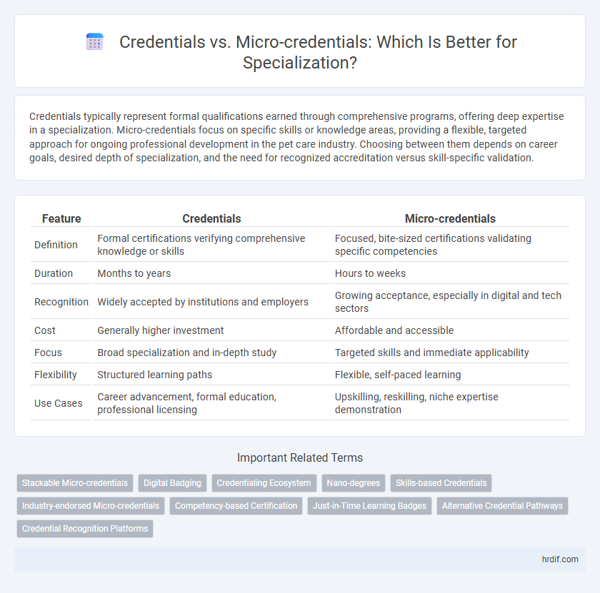 Credentials vs. Micro-credentials: Which Is Better for Specialization?
