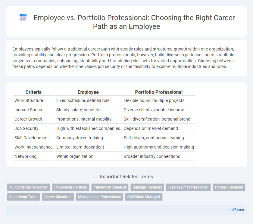 Employee vs. Portfolio Professional: Choosing the Right Career Path as an Employee