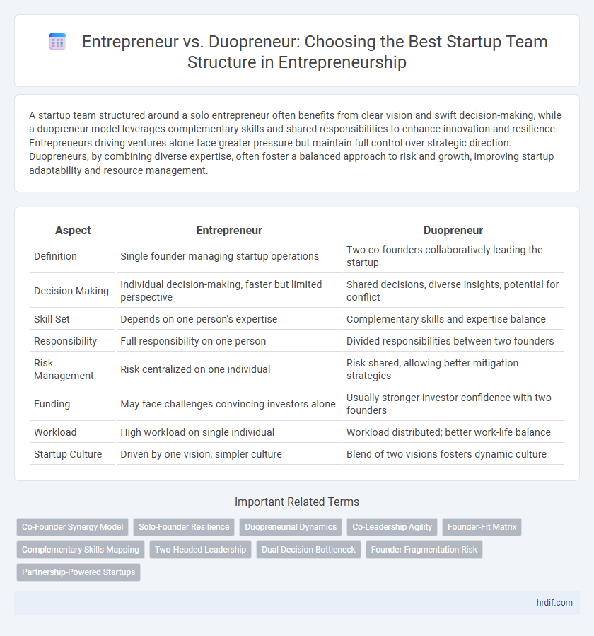 Entrepreneur vs. Duopreneur: Choosing the Best Startup Team Structure in Entrepreneurship