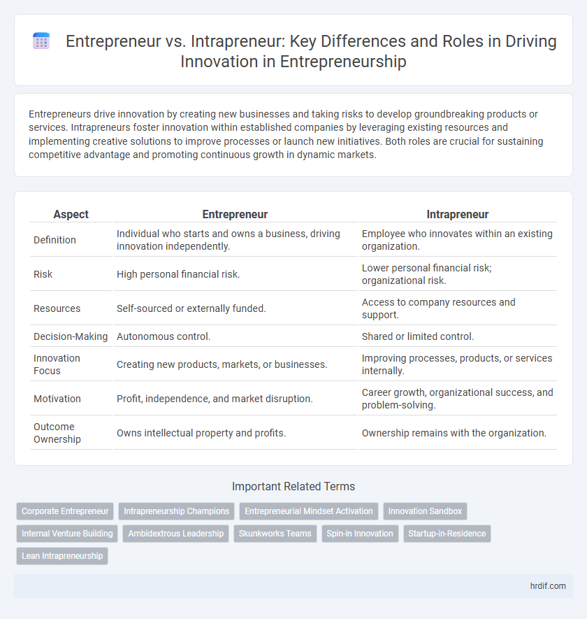 Entrepreneur vs. Intrapreneur: Key Differences and Roles in Driving Innovation in Entrepreneurship