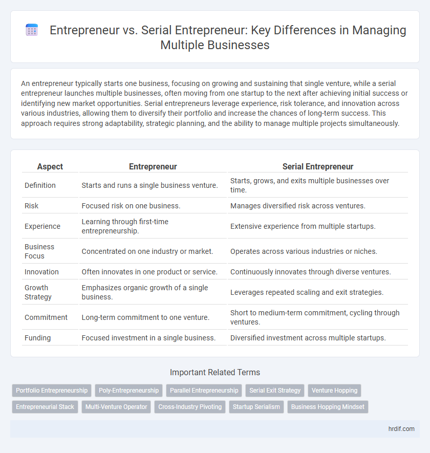 Entrepreneur vs. Serial Entrepreneur: Key Differences in Managing Multiple Businesses