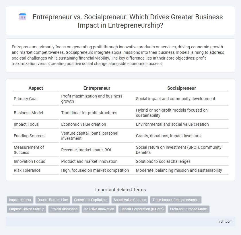 Entrepreneur vs. Socialpreneur: Which Drives Greater Business Impact in Entrepreneurship?