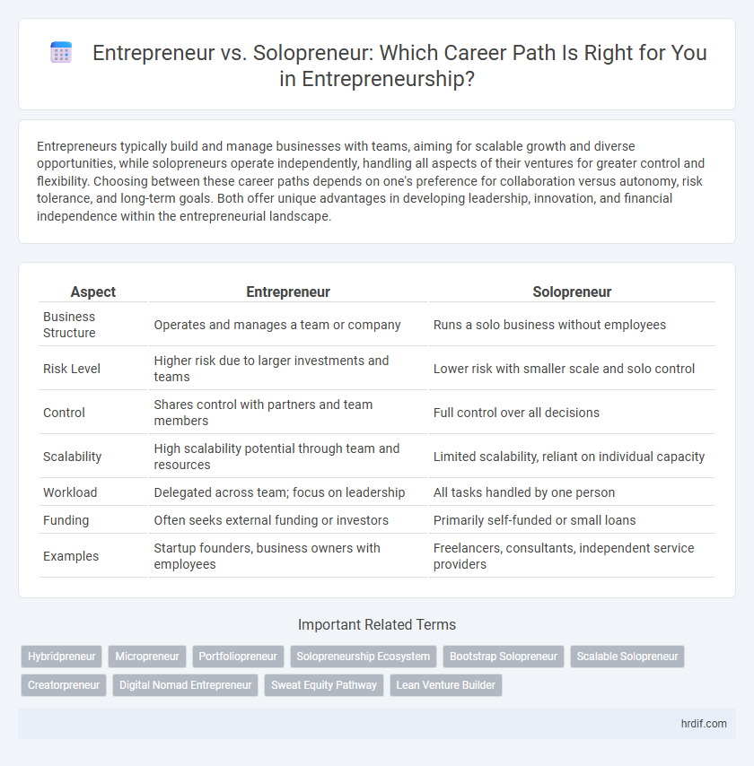 Entrepreneur vs. Solopreneur: Which Career Path Is Right for You in Entrepreneurship?