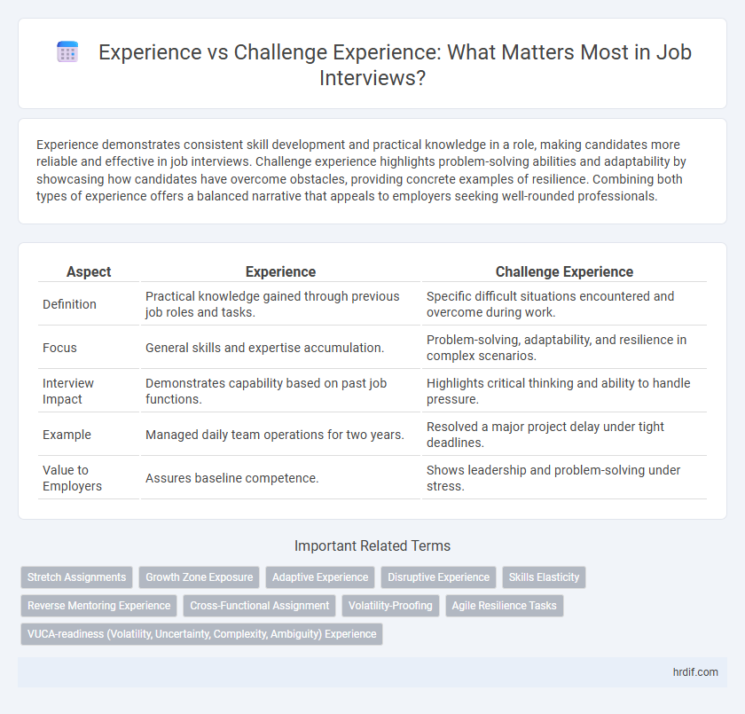 Experience vs Challenge Experience: What Matters Most in Job Interviews?